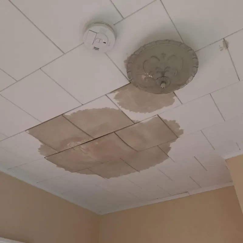 Ceiling Water Damage Repair in McMechen, WV