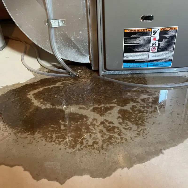 Pipe Burst and Leak Restoration in McMechen, WV