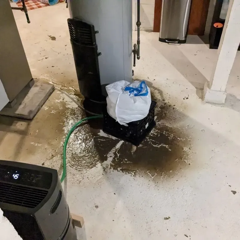 Sewage Backup Cleanup Service in McMechen, WV
